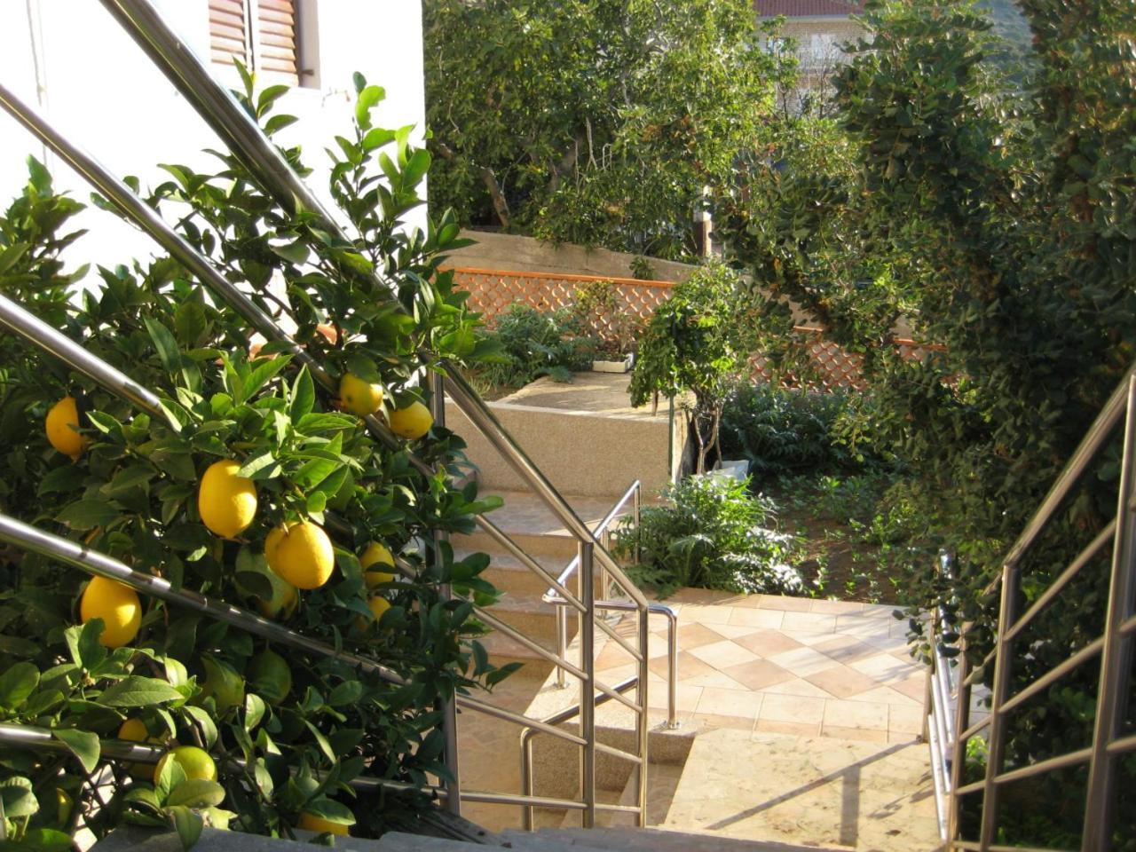 Apartments Martina Primošten Exterior foto